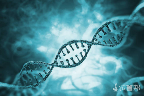 3bfa9ad21a1d3fba47e38d0b345a09c5.png 性染色体异常是不是基因突变