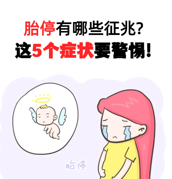胎停有哪些症状表现