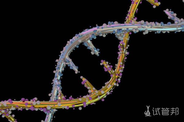 fb4214c7ef68fb07ef5a11a6ea7a7dcd.png 性染色体异常会不会遗传