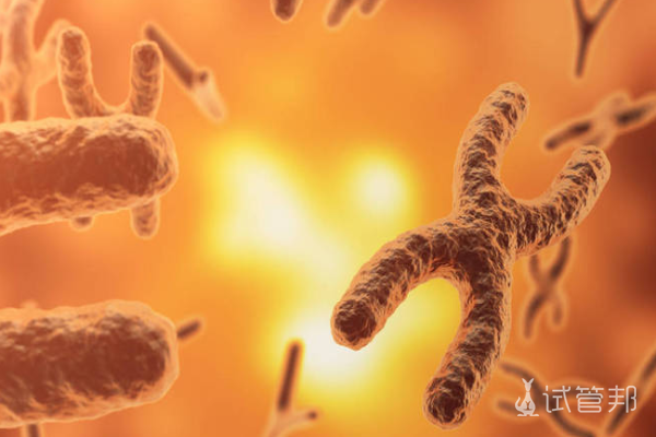 0afac224612f0f61f3165a0f5f6d1b4c.png 染色体异常哪些人容易得