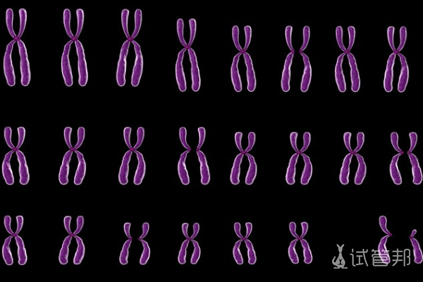 247f8e11c2aef9683383e8c2a6b6f666.png 性染色体异常是不是父母遗传