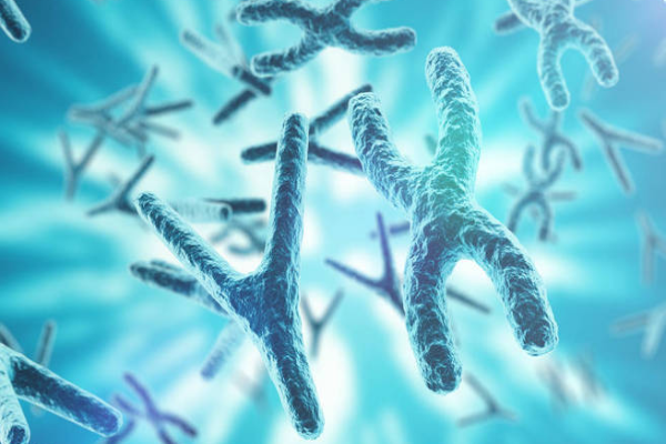 322213e2e08769bdc958c642c7d0a44d.png 性染色体异常高风险指的是什么