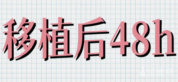 34c33371f16d4257f61e5f71ec177ea8.png 把握好试管婴儿移植后的黄金48小时
