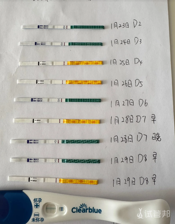 4a9a7f0ee1a2b26da9330ad94e756900.png 囊胚移植第8天说说这些天的感受