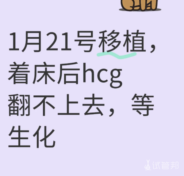 562dfcb57f8892ff1f24d4bf4e49b633.png 试管移植失败
