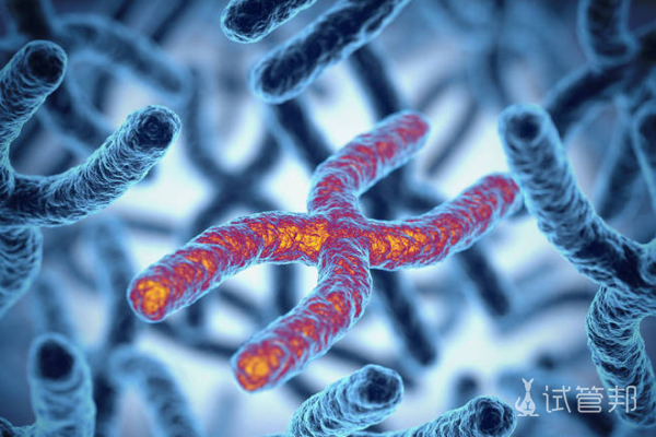 6d4da513e5073ca5f61d8acb3784c59a.png 染色体异常该如何治疗