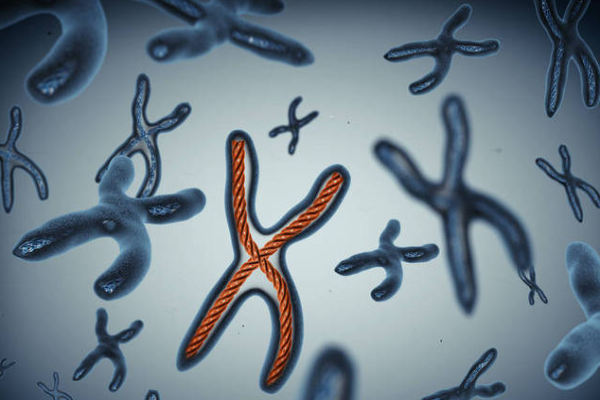 86d62fb7fee607745ef51f438322ed5b.png 性染色体异常很严重吗