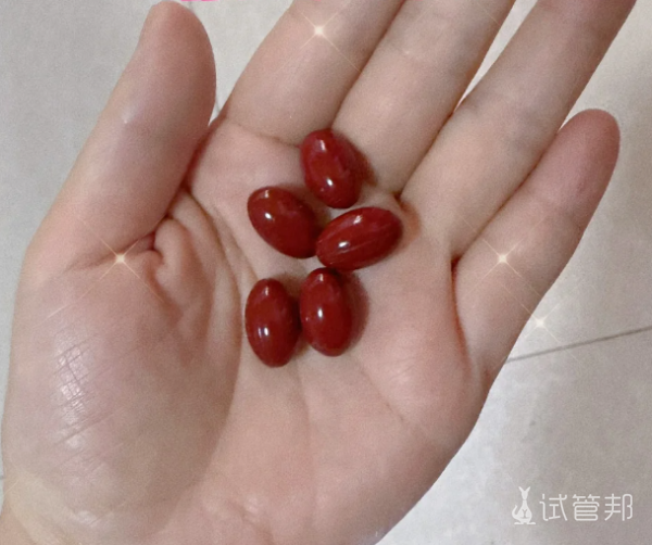 9fed10105a5131f9e41d90d04774c93d.png 试管婴儿进周前这4大点准备要做好