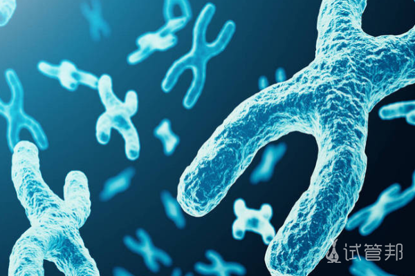 a5a917a6bd673791476ad53027587ebf.png 性染色体异常如何预防