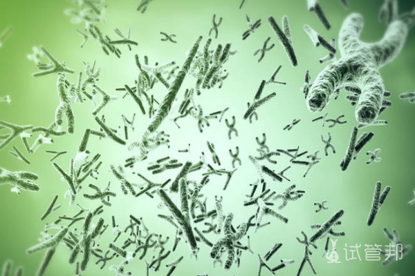 b131f28853cad9c16161e323e15a7c36.png 性染色体异常孩子会受到什么影响