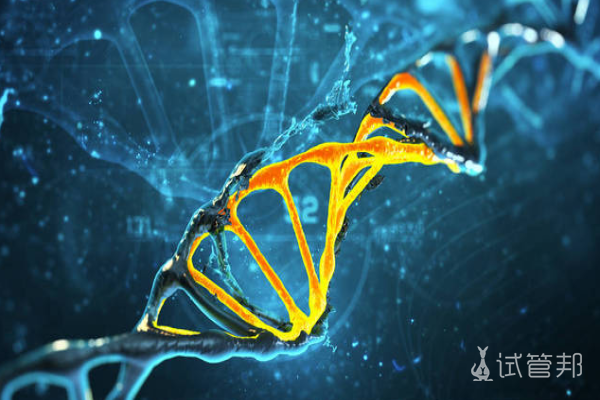 d14ab1b98e2036e623237ff6640dfc16.png 染色体异常是怎么回事