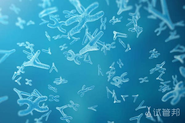 d306ab3faae6282db71f6a037237042a.png 性染色体异常翻盘几率大吗