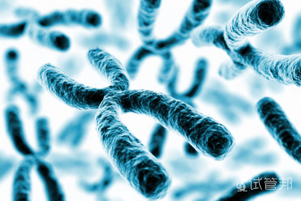 e6f7b4de65ba245b98b754ff572cd184.png 性染色体异常是哪一方有问题