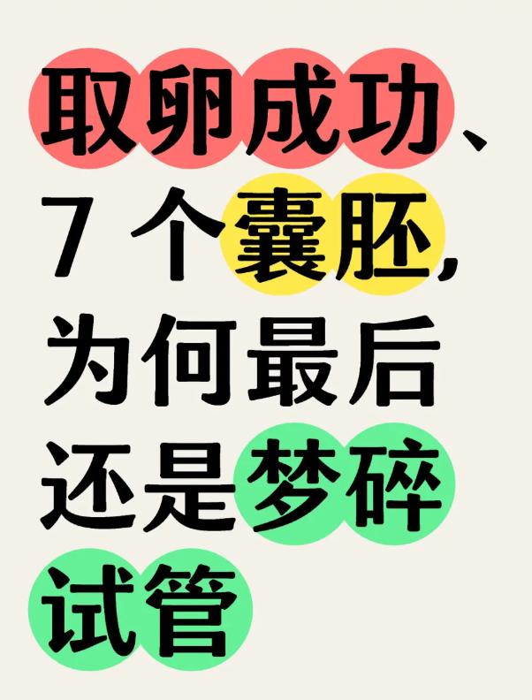 做试管婴儿培养出7个囊胚但依然没成功