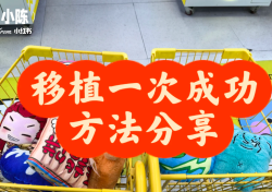 试管婴儿成功率提升技巧之用药和移植准备工作