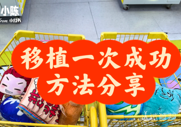 26e491bc15a7302b74325001dfd5e088.png 试管婴儿成功率提升技巧之用药和移植准备工作