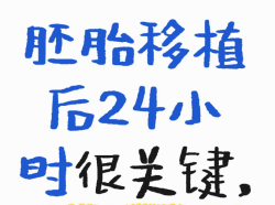 胚胎移植后有哪些注意事项？看过来