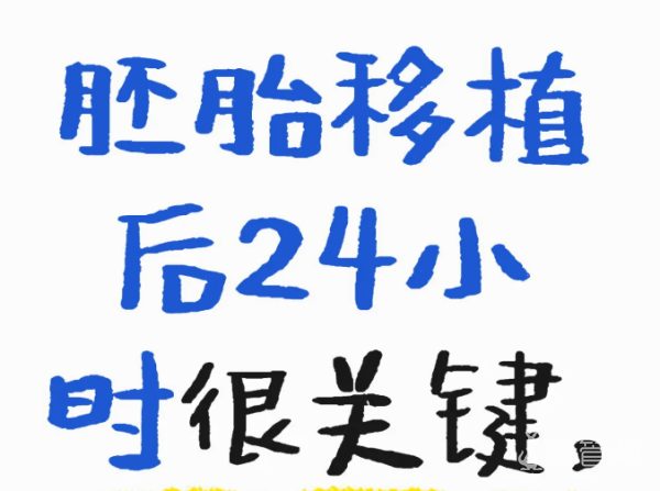 27c2c6cce6ab9e5654a21c893c87f42f.png 胚胎移植后有哪些注意事项
