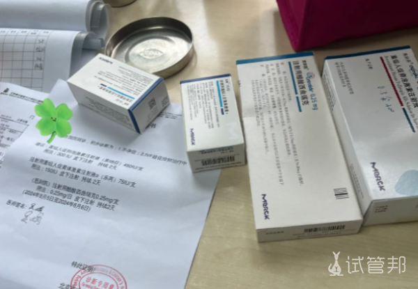 4c33ed78fc4f0d67889d692594aa94dd.png 2025年重庆试管纳入医保后我的亲身经历与花费揭秘