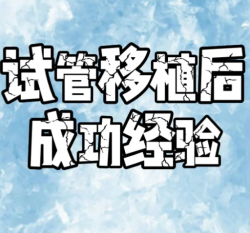 做试管婴儿成功了，想来分享一下我胚胎移植后做的事