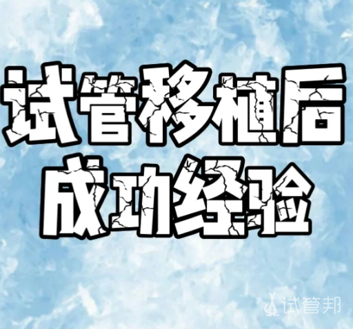 4d043ff649069f441e4a522af8639f23.png 做试管婴儿成功了想来分享一下我胚胎移植后做的事