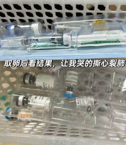 试管之路，费用准备攻略大公开！