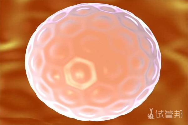 9b4098f0fc6ab53aab3fa02391e5711f.jpeg 卵泡黄素化指的是什么