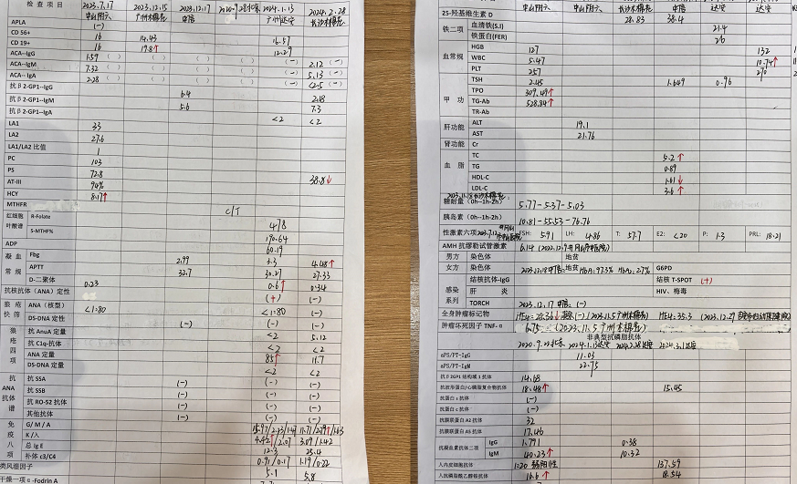 二移D12天中信返院我的助孕之旅终于画上完美句号啦