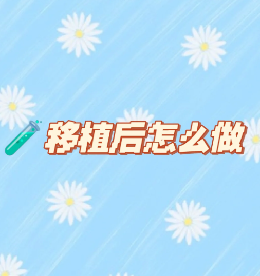胚胎移植后该怎么做
