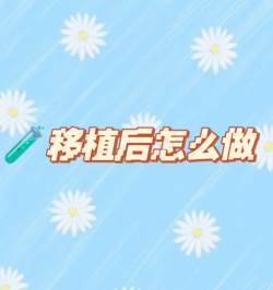 胚胎移植后该怎么做呢？分享一下我的经验