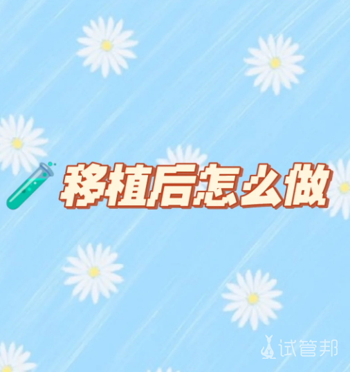 ca395f37ab2959c65e056694070ffd86.png 胚胎移植后该怎么做