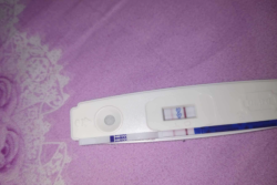 移植后的奇妙15天，我的亲身经历大揭秘！