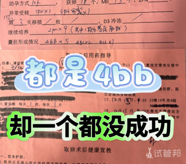 c59f1022c4aef33f926819f28e4f5027.png 做试管婴儿之前一定要注重调理