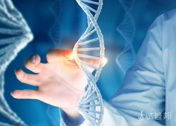 4542e764db8071c8ade807f63c6b13b4.png 脆性x染色体综合征发育会越来越缓慢吗