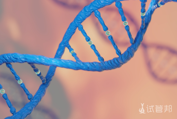 b46959f1fa7d211802ea05f1d12c1265.png 脆性x染色体综合征临床表现有哪些