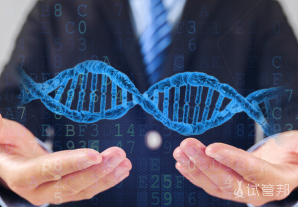 ca617541d32bc5d7984598bebcd6fb53.png 脆性x染色体综合征遗传方式是什么