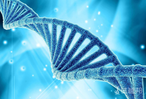 f8779fe3f73b3cf4bc2afb63dfb27403.png 什么是脆性x染色体综合征