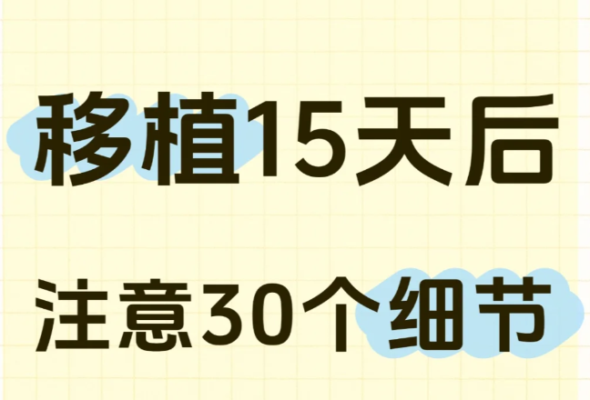 移植后14天要做好这些事