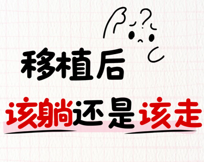 胚胎移植后几天着床