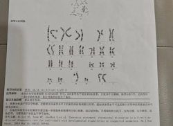 两次染色体异常后，我如何自怀成功？经验大公开！