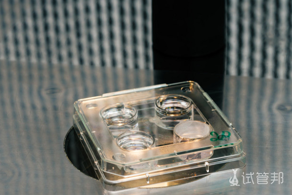 3c73a5c4e362e469e2483fdf8f8cace6.png 人工授精后要不要同房