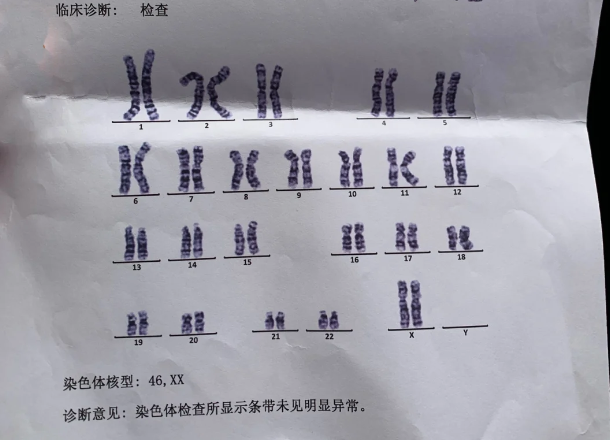 染色体检测攻略来啦