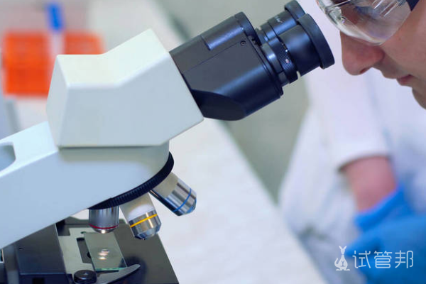 69dbf4b6b7457e906f81792924539923.png 人工授精可以选性别吗