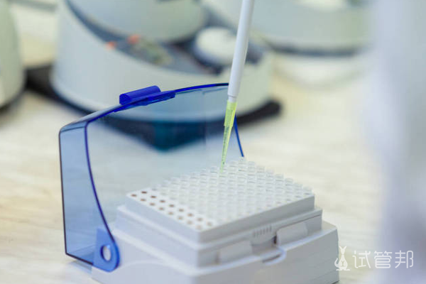 6be0d2836054509b8123f67fed112699.png 人工授精成功率是多少