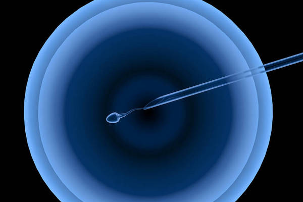 0c99e5896c6833ce1c6bbe78a652b2d7.png 取卵后如何快速恢复卵巢功能