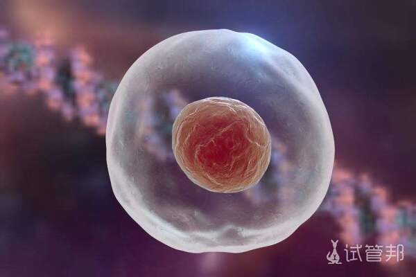 530ed96d2096fd7386946a6214aeb318.jpeg 取卵后多久能同房