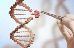 PGD、PGS、PGT-A，准备做三代试管的姐妹分清了吗
