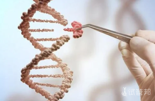 85dd43e2eb4a65a5b88a074f8a0d94cc.png PGD、PGS、PGT-A,准备做三代试管的姐妹分清了吗