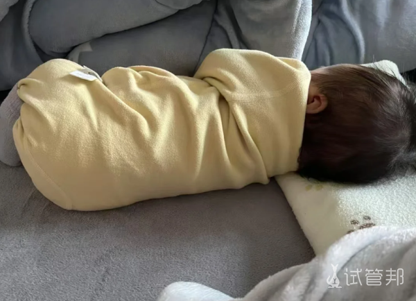 860f3f85d12ed37c4041ff1ddc33417c.png 试管移植单胎还是双胞胎?过来人有话说