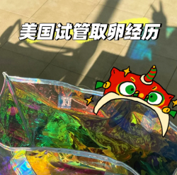 在美国做试管婴儿的取卵经历分享给大家